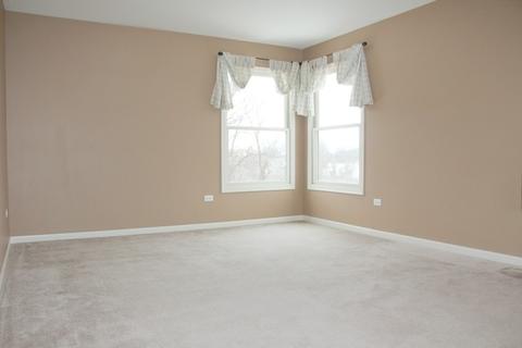 3603 Wetlands Dr, Elgin, IL 60124 photo 24