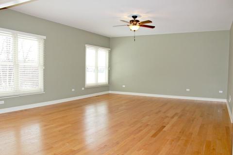 3603 Wetlands Dr, Elgin, IL 60124 photo 9