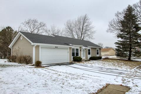 904 Molobay Ter, Bartlett, IL 60103 photo 2