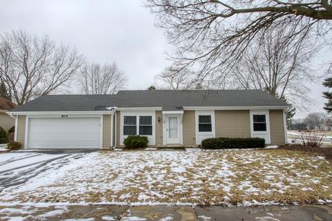 904 Molobay Ter, Bartlett, IL 60103 photo 1