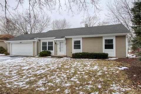 904 Molobay Ter, Bartlett, IL 60103 photo 3