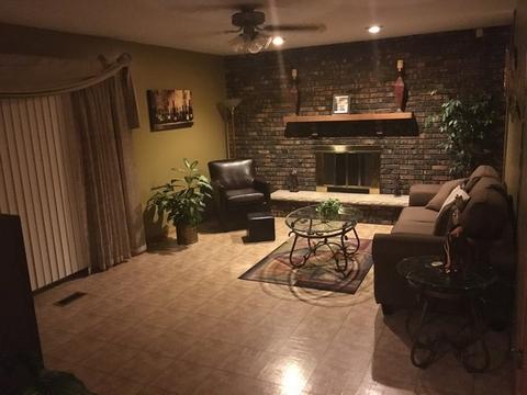 853 School Ave, Matteson, IL 60443 photo 5