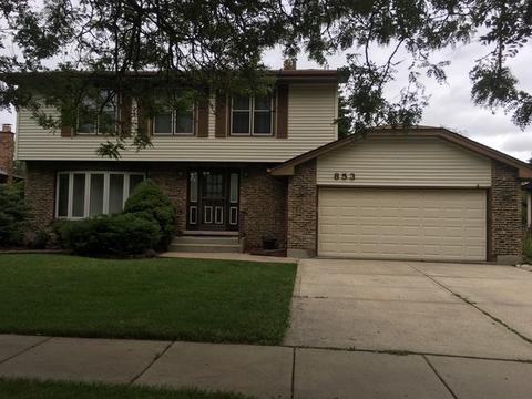 853 School Ave, Matteson, IL 60443 photo 1
