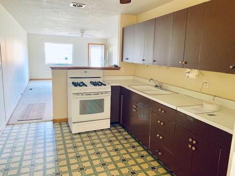 707 E Young Ave, Hoopeston, IL 60942 photo 6