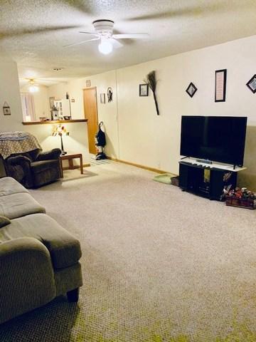 707 E Young Ave, Hoopeston, IL 60942 photo 3