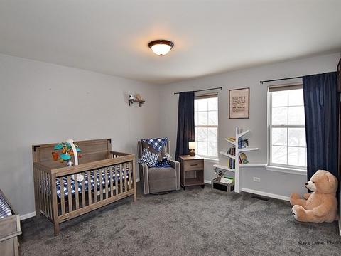 2913 Arbor Ln, Aurora, IL 60504 photo 24