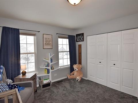 2913 Arbor Ln, Aurora, IL 60504 photo 23