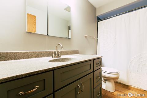 332 Eastern Ave, Barrington, IL 60010 photo 12