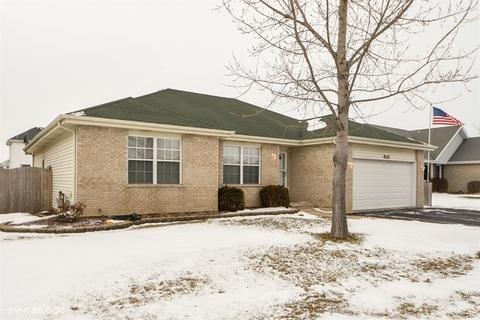 25708 S Taft St, Monee, IL 60449 photo 1