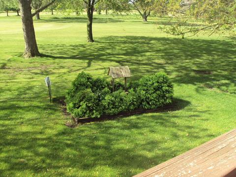1514 Golfview Rd, Rantoul, IL 61866 photo 26