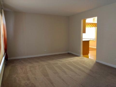 3246 Phillips Ave, Steger, IL 60475 photo 22