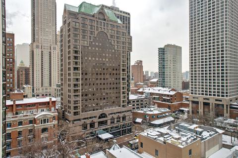 33 E Cedar St #15B, Chicago, IL 60611 photo 11
