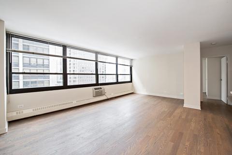 33 E Cedar St #15B, Chicago, IL 60611 photo 4