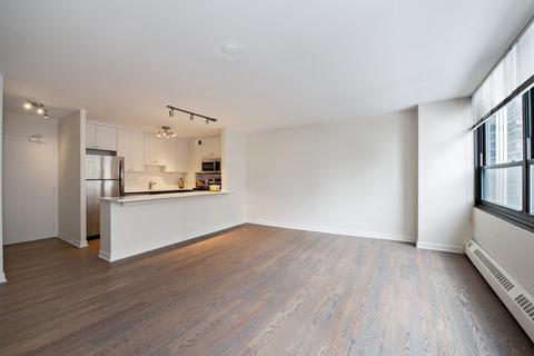 33 E Cedar St #15B, Chicago, IL 60611 photo 6