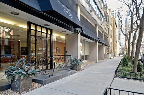 33 E Cedar St #15B, Chicago, IL 60611 photo 1