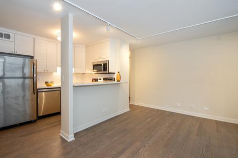 33 E Cedar St #3A, Chicago, IL 60611 photo 8