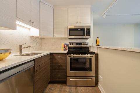 33 E Cedar St #3A, Chicago, IL 60611 photo 4
