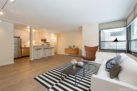 33 E Cedar St #3A, Chicago, IL 60611 photo 3