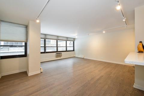 33 E Cedar St #3A, Chicago, IL 60611 photo 7