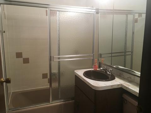 956 N Mill Rd, Addison, IL 60101 photo 12