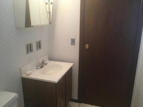 956 N Mill Rd, Addison, IL 60101 photo 11