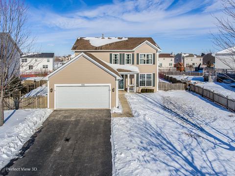 700 Brita Trl, Minooka, IL 60447 photo 1