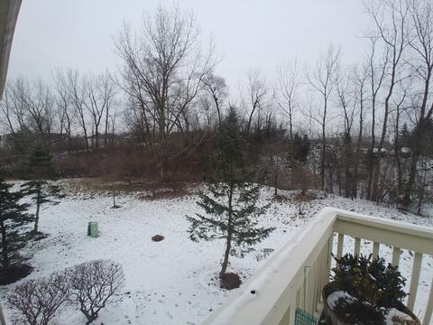 331 Emerald Ln, Algonquin, IL 60102 photo 20