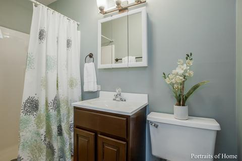 253 E Goebel Dr, Lombard, IL 60148 photo 10