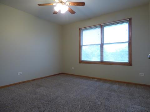 703 Suzanne Ct, Spring Grove, IL 60081 photo 13