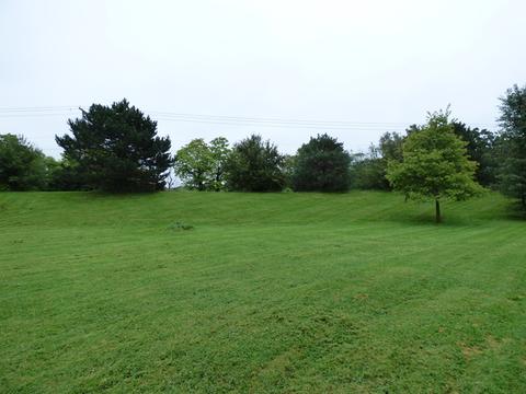 703 Suzanne Ct, Spring Grove, IL 60081 photo 15