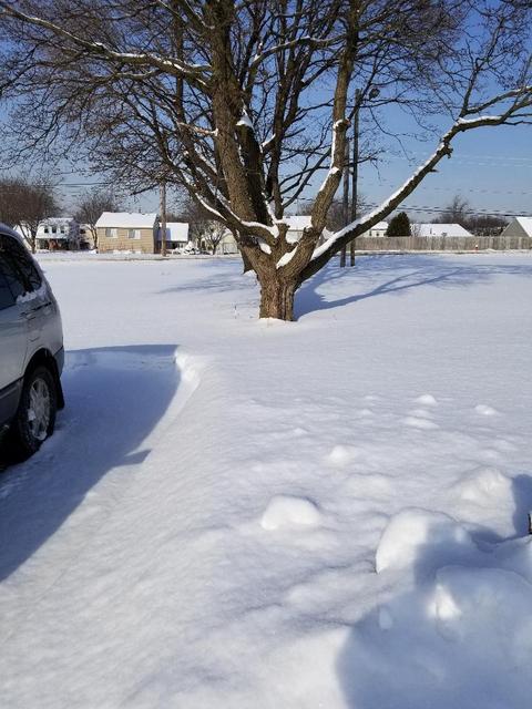 85 Sumac Ln, Elgin, IL 60120 photo 8