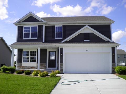 307 Camden Ln, Beecher, IL 60401 photo 1