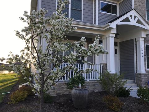 15706 Brookshore Dr, Plainfield, IL 60544 photo 2