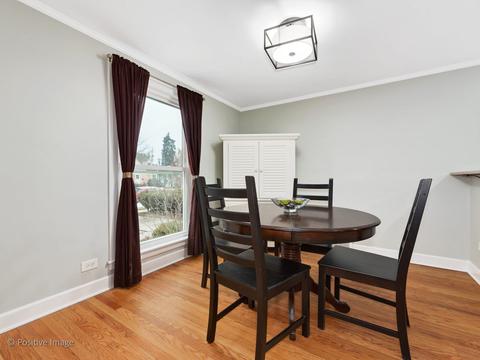 425 Darrow Ave, Evanston, IL 60202 photo 12