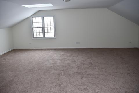 11140 W Saddle Ridge Dr, Monee, IL 60449 photo 23