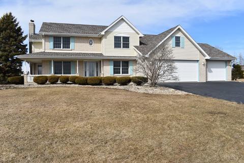 11140 W Saddle Ridge Dr, Monee, IL 60449 photo 1