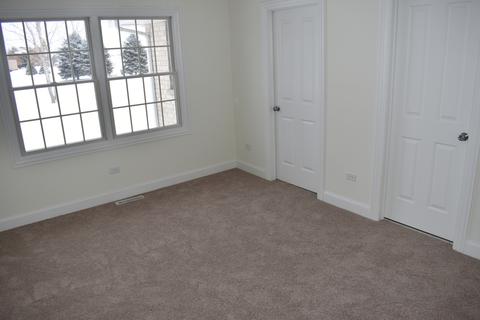 11140 W Saddle Ridge Dr, Monee, IL 60449 photo 15