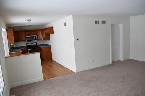 11140 W Saddle Ridge Dr, Monee, IL 60449 photo 12