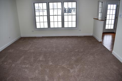 11140 W Saddle Ridge Dr, Monee, IL 60449 photo 10