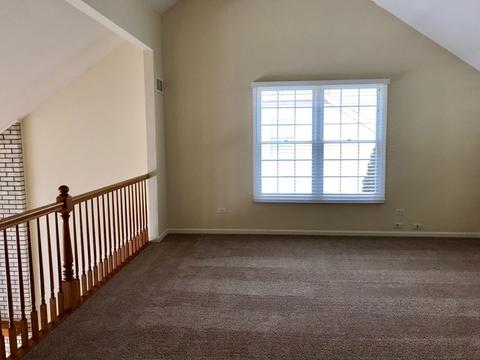 13640 Rockefeller Dr, Plainfield, IL 60544 photo 16