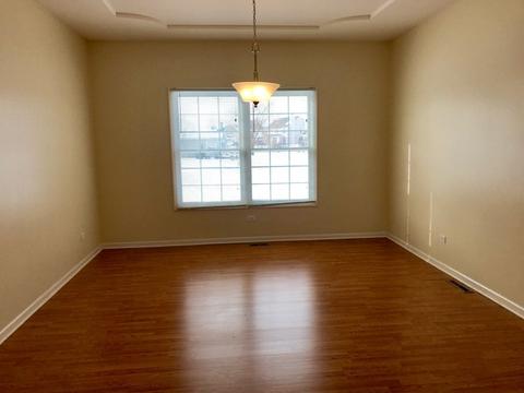 13640 Rockefeller Dr, Plainfield, IL 60544 photo 5