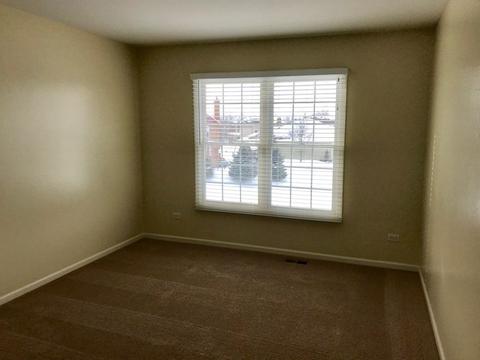 13640 Rockefeller Dr, Plainfield, IL 60544 photo 22