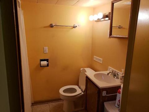 355 Streamside Dr, Harvey, IL 60426 photo 8