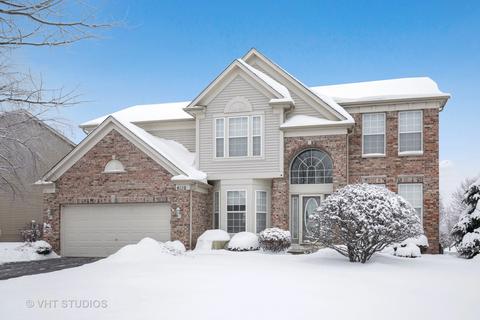 4110 Georgetown Cir, Algonquin, IL 60102 photo 1