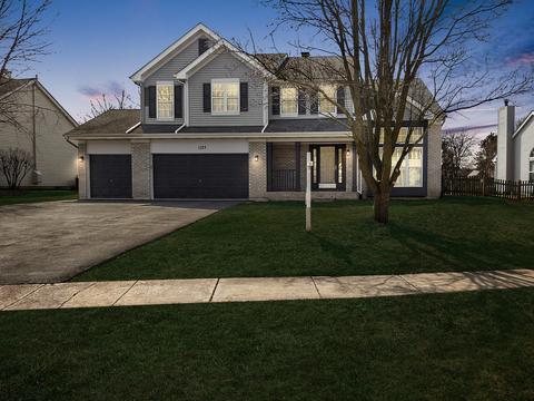 1123 Stonegate Ct, Bartlett, IL 60103 photo 1
