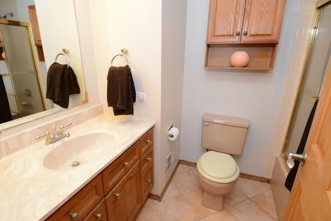 1198 Ivy Ct, Bartlett, IL 60103 photo 21