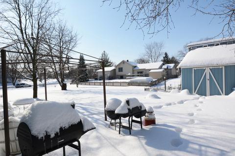 1198 Ivy Ct, Bartlett, IL 60103 photo 25