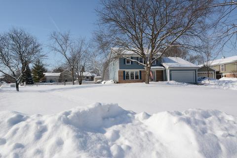 1198 Ivy Ct, Bartlett, IL 60103 photo 3