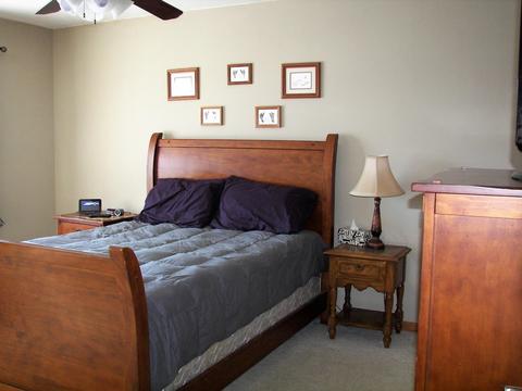 1883 Kingtree Dr, Morris, IL 60450 photo 11