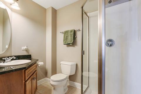 26424 Silverleaf Dr, Plainfield, IL 60585 photo 18